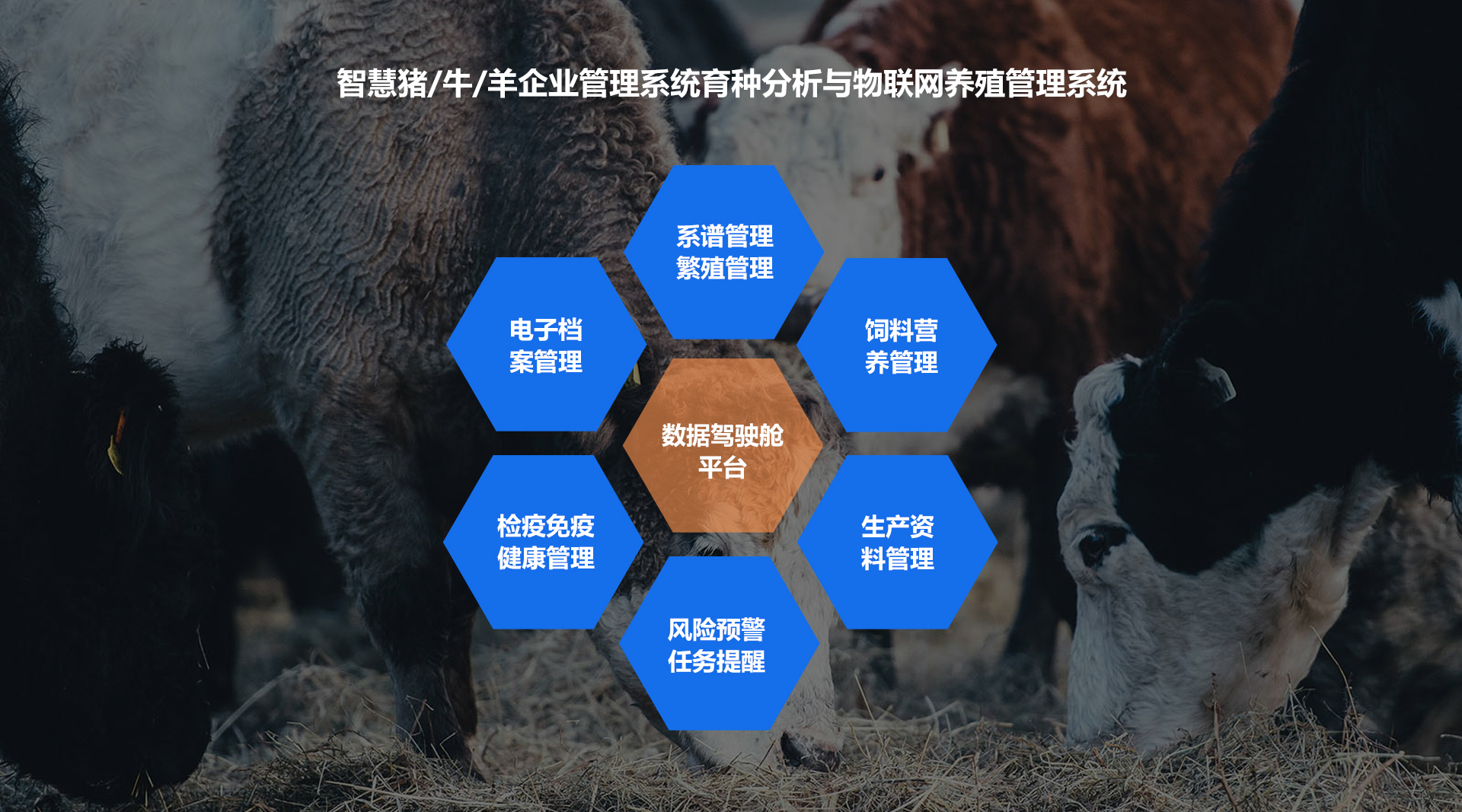 瑞佰創(chuàng)物聯(lián)科技