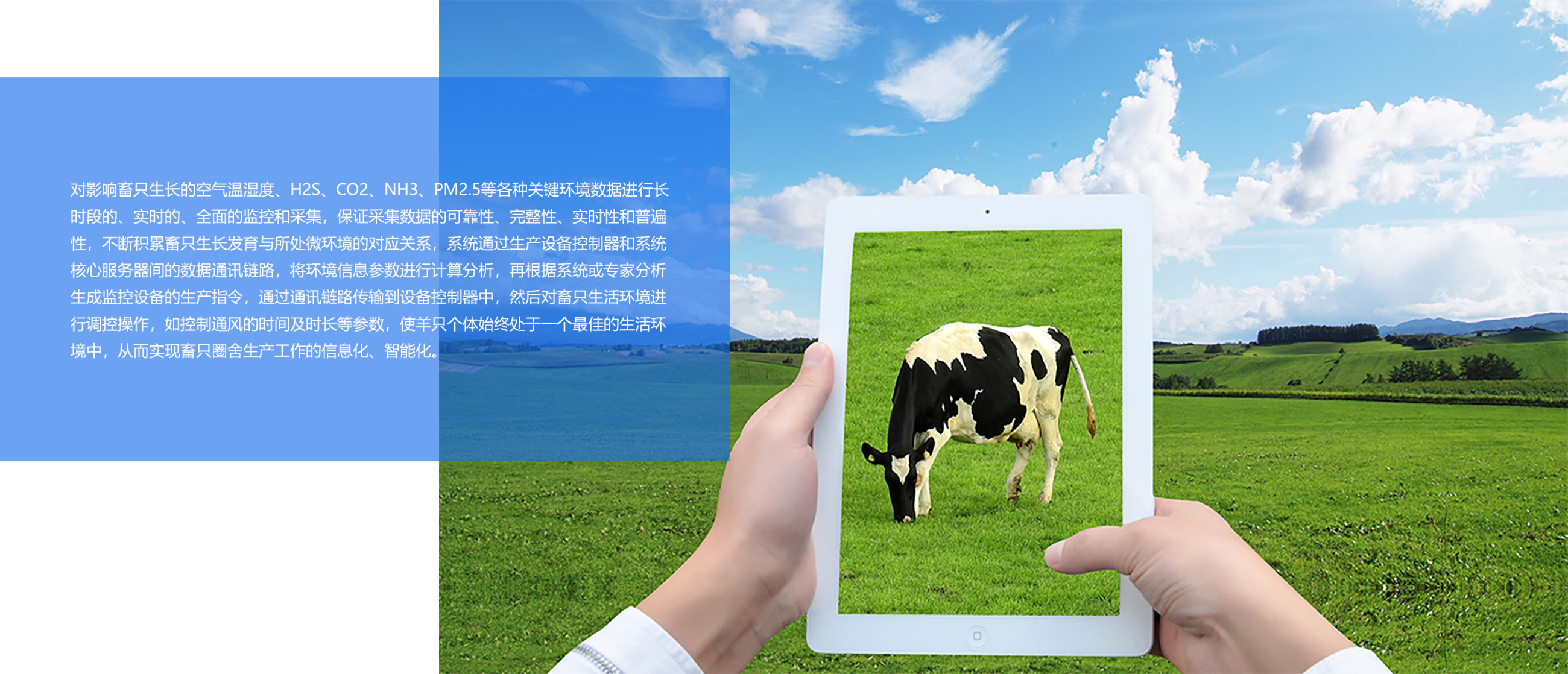 瑞佰創(chuàng)物聯(lián)科技