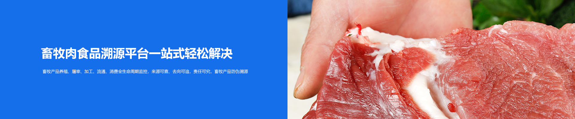 瑞佰創(chuàng)物聯(lián)科技