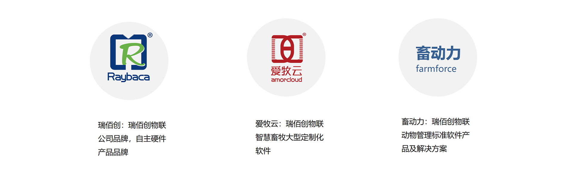 瑞佰創(chuàng)物聯(lián)科技