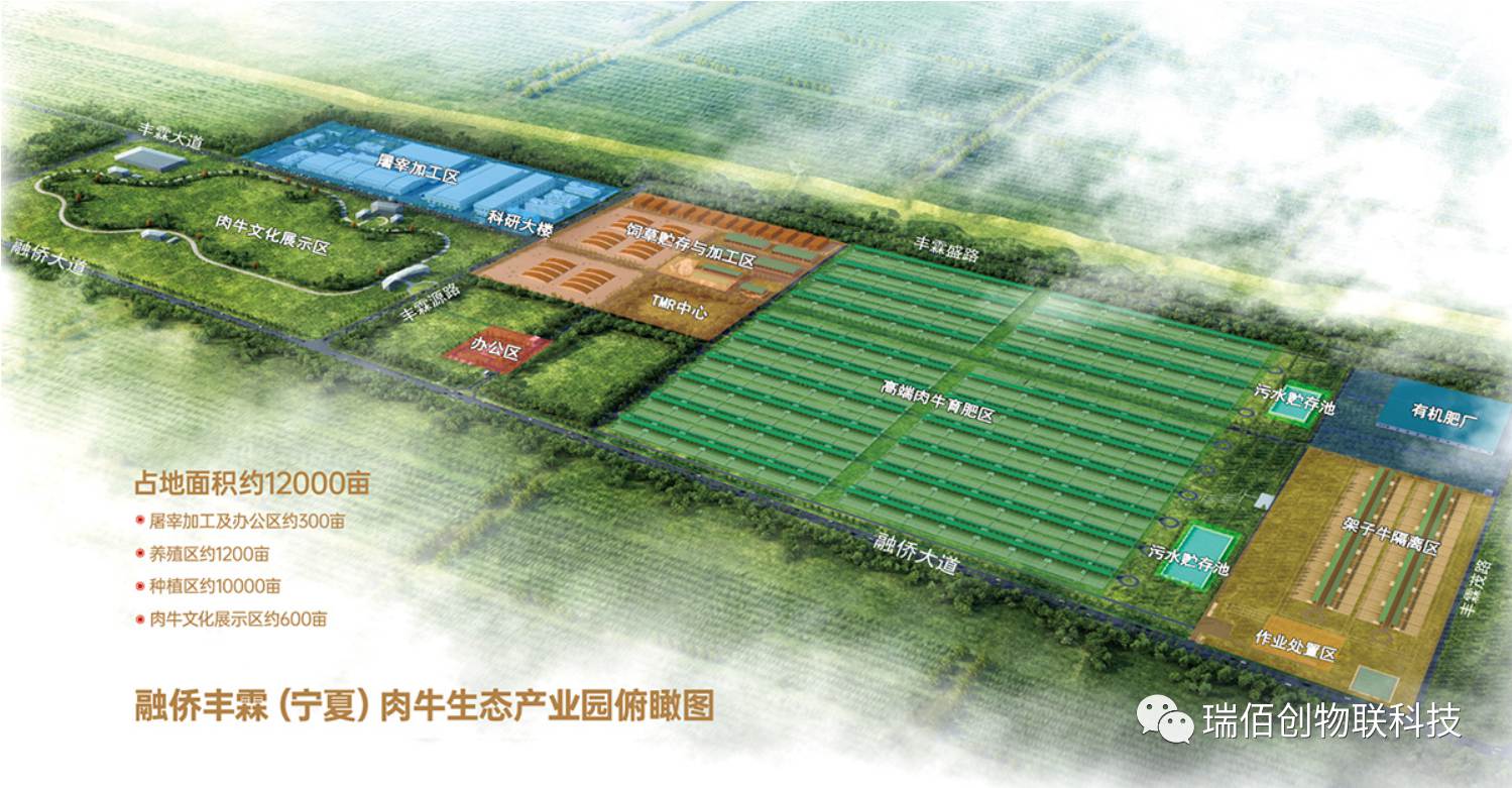 瑞佰創(chuàng)物聯(lián)科技