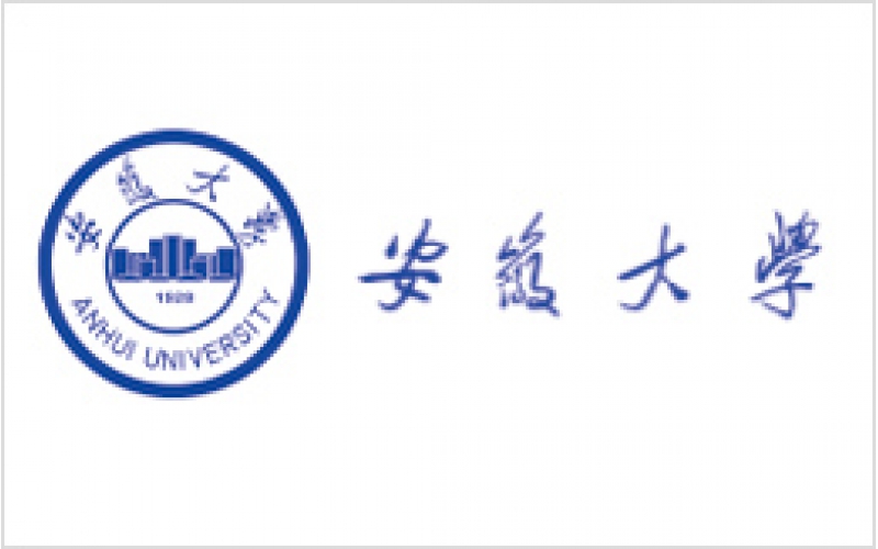 安徽大學(xué)