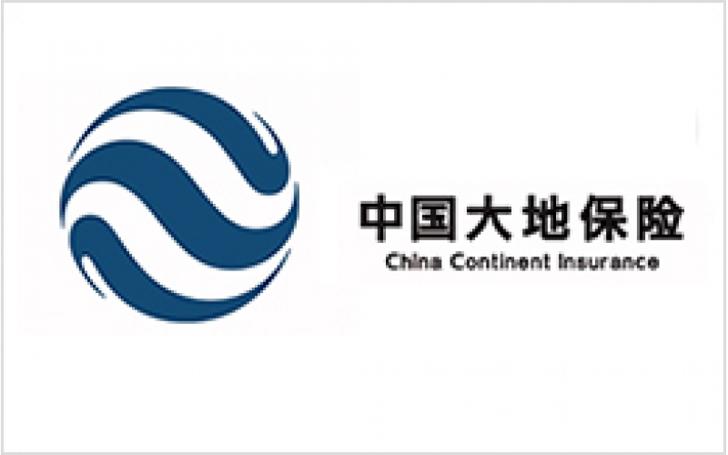 中國大地保險