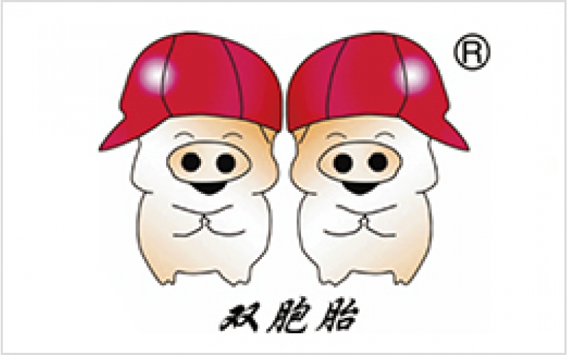雙胞胎