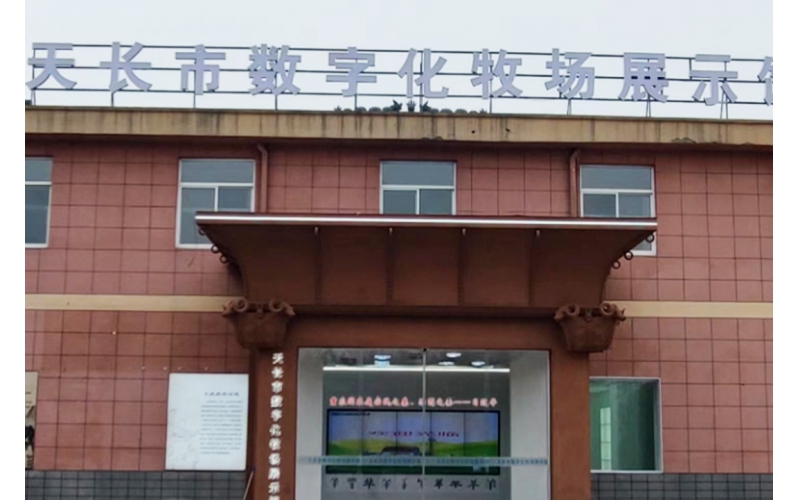 熱烈祝賀天長(zhǎng)市周氏羊業(yè)物聯(lián)網(wǎng)數(shù)字智慧牧場(chǎng)管理系統(tǒng)順利通過驗(yàn)收