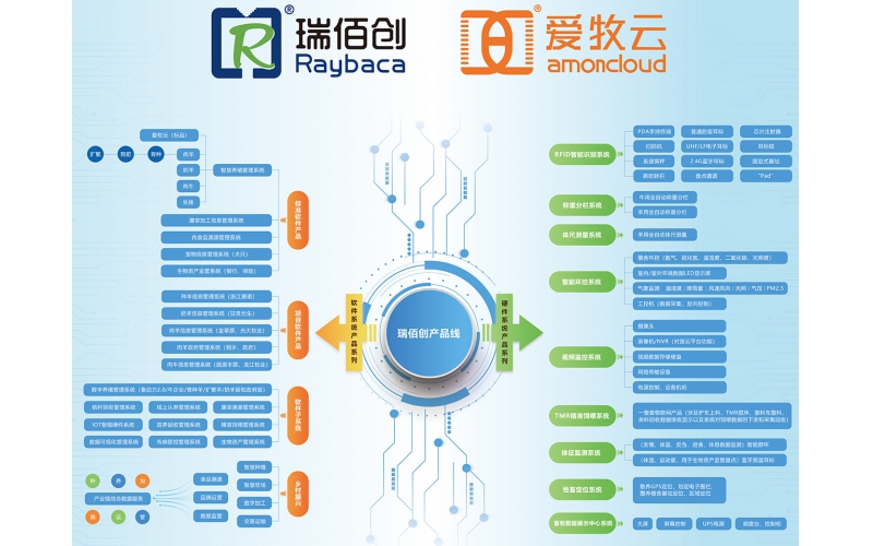 2025政府工作報(bào)告解讀：科技創(chuàng)新引領(lǐng)未來，瑞佰創(chuàng)物聯(lián)助力智慧新時(shí)代！