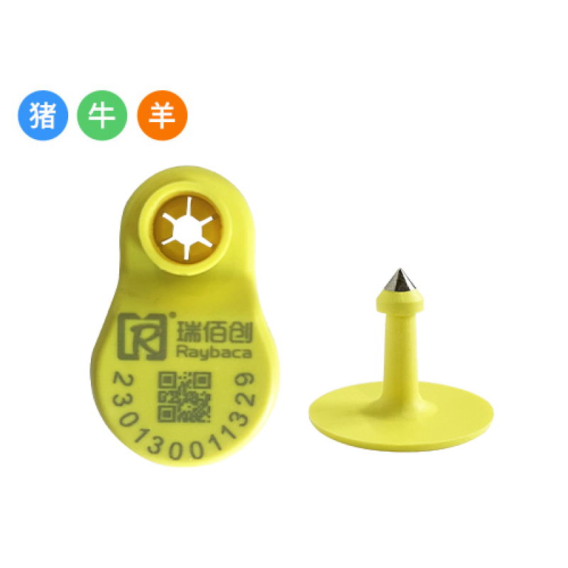 YY02-ZC